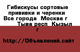 Гибискусы сортовые, прививки и черенки - Все города, Москва г.  »    . Тыва респ.,Кызыл г.